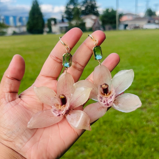 Real Cymbidium Orchid Earrings