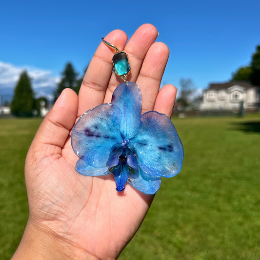 Real Blue Orchid Earrings