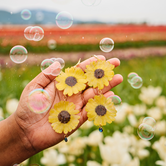 Real sunflower earrings