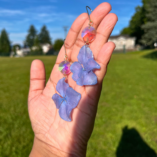 Real Small Hydrangeas Flowers