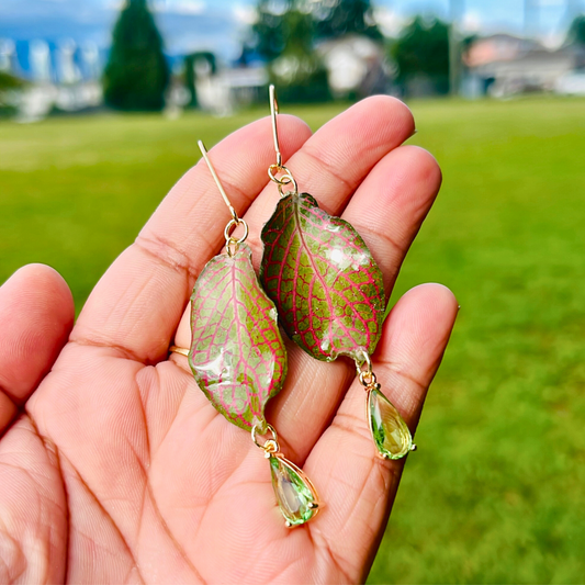 Real Polka Dot Plant earrings