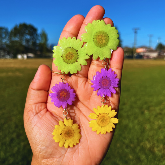 Multi Color Daisy Real Flower Earrings